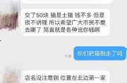 新兴宠物店爆料视频,独家爆料视频带你探秘宠物行业新趋势