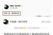 娱乐爆料什么伟,揭秘神秘明星伟生的背后故事