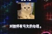 娱乐八卦吃瓜阵地,吃瓜阵地深度解析