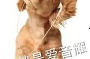 猫神续约爆料视频下载手机版,手机版爆料视频深度解析